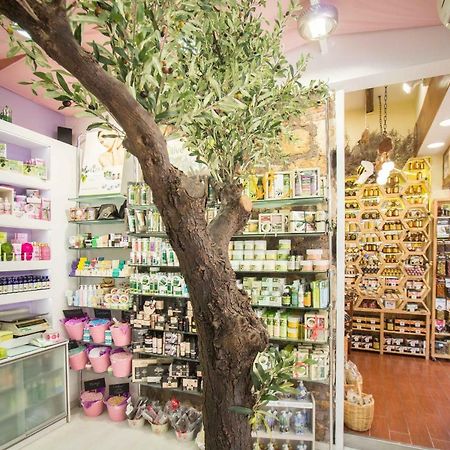 Mmebassia Bed and Breakfast Χανιά Εξωτερικό φωτογραφία